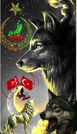 #bozkurt #ülkücülervarolsun #bozkurtcapss #ülkücüleri #bozkurtlarulusuntanrıtürkükorusun