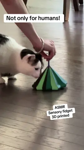 Even our cat has a small obsession with this sensory fidget toy! The coolest 3D printed fidget. #fidget #3dprinting #catsoftiktok #tiktokshop #sensoryfidget 