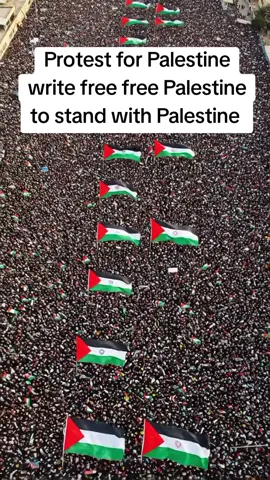 protest for Palestine write free free Palestine to stand with Palestine#FreePalestine #freepalestine🇵🇸❤️ #palestine #protest #palestine🇵🇸 