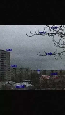 xd #2010 #winter #ď2s1 #meow #el 