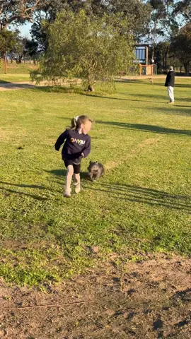 Ashlee and Amber out exercising their little critters this morning 💚 Ashlee’s got the wombats, Amber’s got the kangaroos, and they’re all out in the orchard on little adventures 🐻🦘 Such awesome bonding moments to see. I feel a bit left out though… might have to find myself an emu as a spirit animal and join in next time 🐦😂 How good’s this? Except for Kev, of course. He’s not doing any running around, he’s parked on the lawn eating all the best grass. Fat little wombat, aren’t ya Kev? 🍃 Onya legends 🙌 #ONYA #WildlifeRescue #WombatWarrior #KangarooCare #FamilyAndCritters