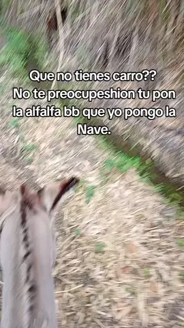 #humor😅😁#xyzbca #contenido 