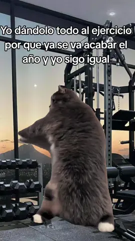 #Meme #MemeCut #CapCut #findeaño #memes Pal otro año 🤪🤣