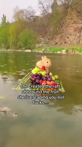 its kind of sinking hello #spirituality #bunny 