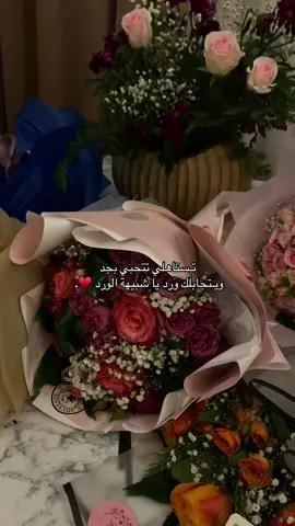 وأنا ياسيدي قلـبي لـحُب الورد مَـيال ♥️.  #ورد #fyp #explore #الشعب_الصيني_ماله_حل😂😂 #ترند 