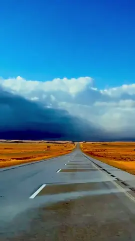 #شعب_الصيني_ماله_حل😂😂 #شيلات #اعجبتني#مشاهدات  