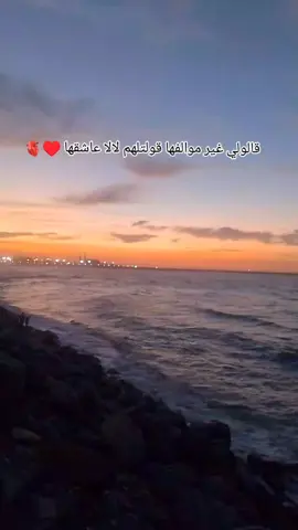 #CapCut  #jijel_____algér⚡❤  #ماله_حل_الشعب_الصيني😂😂  #ابوني_ياك_باطل_ولا_حنا_مانستاهلوش 