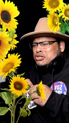 #quesignifica #regalar  #floresamarillas #venezuela🇻🇪 