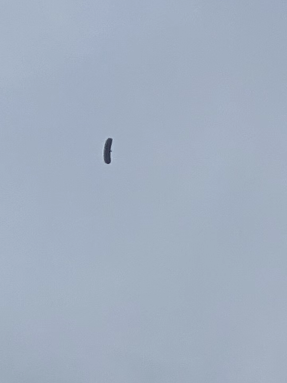 goodbye pickle ☹️💕 @The Big Dill™  #thebigdill #picklefest #baltimore #powerplantlive #taylorswift 