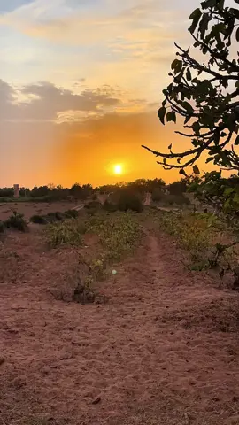 😍☀️#إسلام #المغرب🇲🇦 #الحمدلله_دائماً_وابداً #freepalestine🇵🇸❤️ #قرآن_كريم 