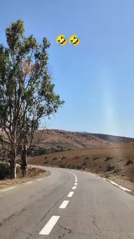 Tlemcen 13 ❤️#tik_tok #tlemceni__13 #algerie🇩🇿 