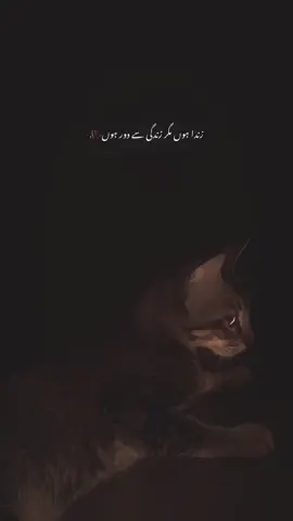 Zinda hun magir zindaghi se door hun-🫀 | Paid Repost Avalaible • #uruguay #urdushayari #viralvideo #viralvideo @TikTok 