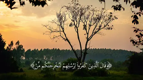 14إِبۡرَاهِيمَIBRĀHEEM #قالب_قرآن #قوالب_قران_كريم #صلاح_المصلي #quran_capcut_template 