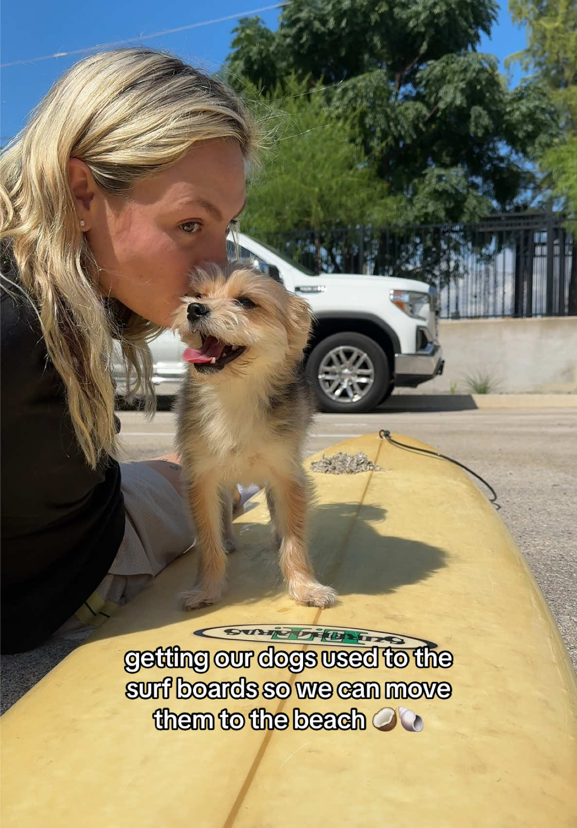 sooo do we move west coast or east coast??? 👀☀️ #beachdogs #surfingdog #beachbaby #dogmom #wlwcouple @Meagan Jones 