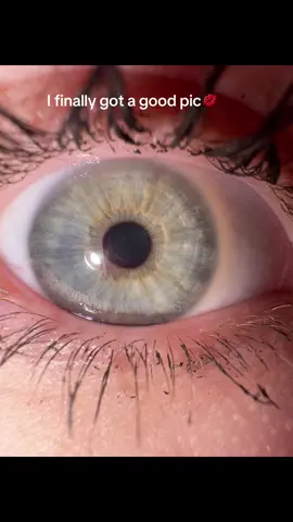 #eye #blueeyes #greeneyes #fyp #oceaneyes 