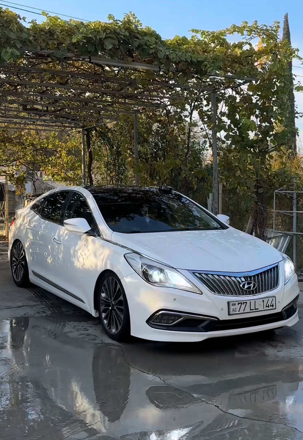 Ölənin qəbrin öpən çox olar.🥀 #77LL144 #77ll144 #grandeur #hyundai #fakesituation 