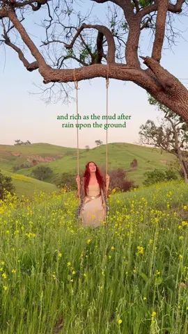 🌼✨ #hazeleyes #celticmusic #singing