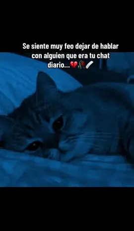 Se siente feo #triste💔 #parati #videotriste💔😭 #💔🥀🥺 #videosad💔☹️ 