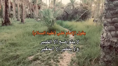 يقول الإمام علي (ع) لا يتواضع إلا الكبير #حسين_بن_كربلاء #h_u_s7n2 #h_u_s7n #كربلاء_مدينة_العشق_والعاشقين🖤 #مقولات_الامام_علي #اقوال_الامام_علي_عليه_السلام #الامام_علي_بن_أبي_طالب_؏💙🔥 