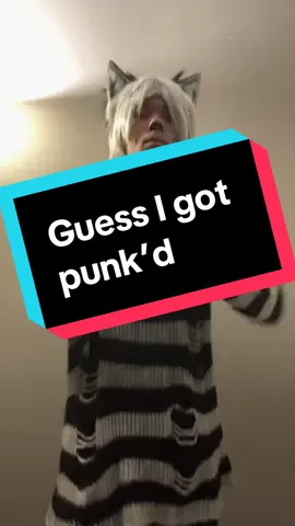 I’m gonna get dad for this one XD  #mrrenard #sirfoxx #genderbentcosplay #loonacosplay #fyp 