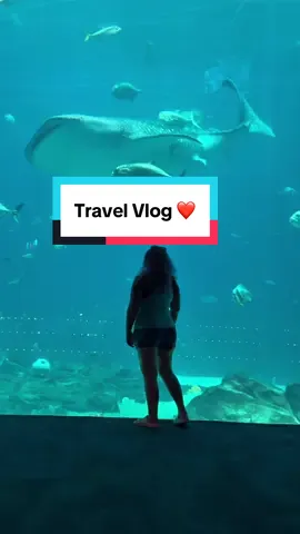 Spontaneous girls’ trip ✈️💙 We flew to @GeorgiaAquarium for the day to explore America’s largest aquarium, the only place in the U.S. with a whale shark & manta rays 🐋✨ #GeorgiaAquarium #DiveDiveLive #GirlsTrip #TravelMore #BucketListAquarium 