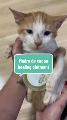 Bye-bye kati, hello healthy fur! 🌿 Subukan ang Madre de Cacao Healing Ointment for Cats & Dogs 💚 Herbal. Safe. Effective. Sulit para kay fur-baby! Kita mo agad ang resulta kahit ilang araw pa lang nagamit. 🥰 #madredecacaoointment #madredecacao #catsoftiktok #catlover #furparents 