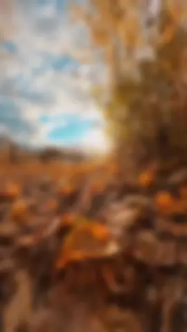 It's Connect with feeling love... #LoveQuotes #iloveyou #ForeverLove #feelings #CoupleGoals @Wise Quotes 