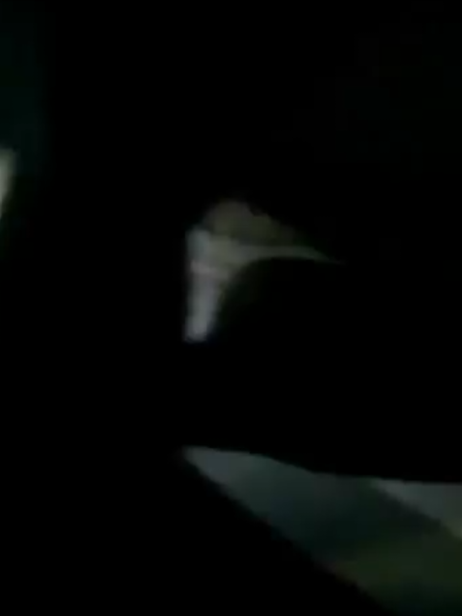 ولك عفت لعالم كلهه تزامطني خره بدينك ابرز بشارع لاطك بلمواقع طك بلواقع فريخ ⭕😀#اصاطير_الجن_الاخطر_حول_العالم #وحيدمرادي_روحت_شاد_دادش_عقاب_ايران #النهروان #بغداد 