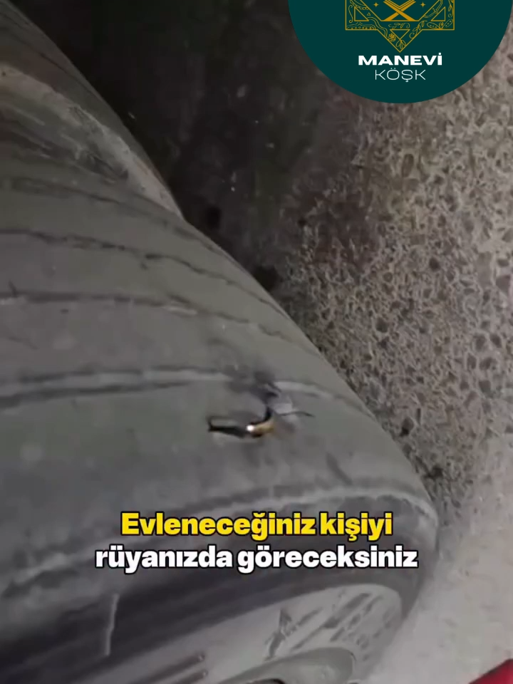 Sonuna kadar izlediysen yorumlara 