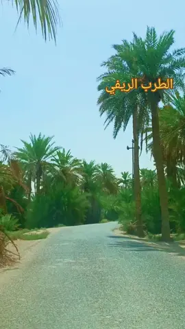 #موالات_حزينة_عراقية💔 #الطرب_العراقي_الاصيل 