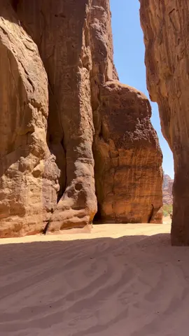 #في هذا اليوم 