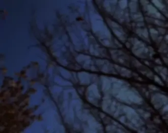 خــــودایە داوای هێز و سەبرت لێ دەکەم🩵.#foruyou 