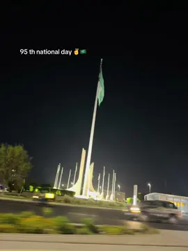 95 th national day ✌️🇸🇦 #creatorsearchinsights #foryou #foryoupage #saudiarabia🇸🇦 #bdtiktokofficial #unfreezemyacount #saudinationalday @سٌ 