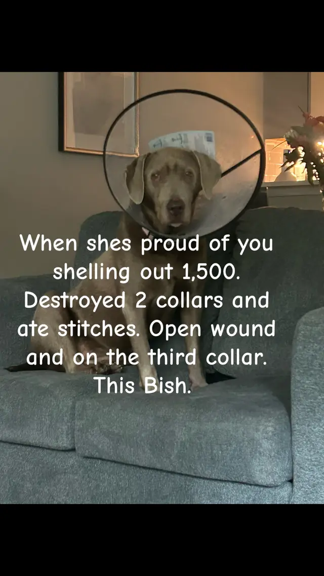 The drama with her. Not doing another surgery. Open wound healing. #FML 