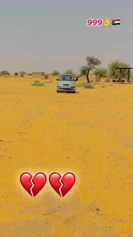 #كبابيش_العز❤️ #كبابيش_العز❤️ 