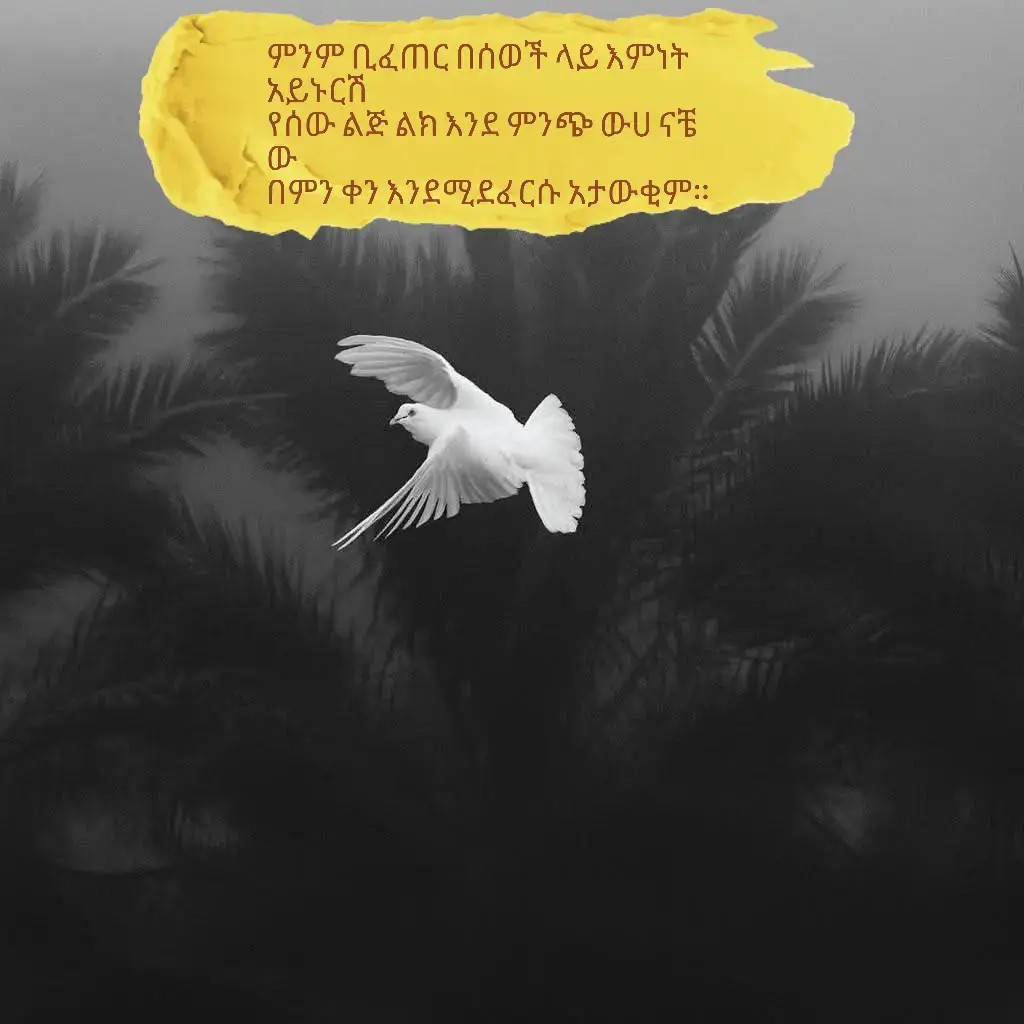 ምንም ቢፈጠር በሰወች ላይ እምነት አይኑርሽ  የሰው ልጅ ልክ እንደ ምንጭ ውሀ ናቼው በምን ቀን እንደሚደፈርሱ አታውቂም።