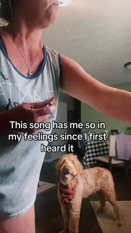 Heart to stay #tosh #toshpoint1980 #leothedood #trending #noahjames 