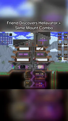 He’s new 🏗️ #terraria #terrariamemes #terrariagameplay #meme #rineeko 