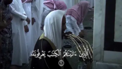 #قران_كريم #قران #قرآن #قرآن_كريم #الحمدلله_دائماً_وابداً 