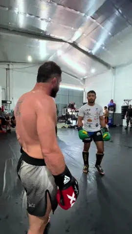 Quando dois cavalos se encontram #treino #sparring #lutador 