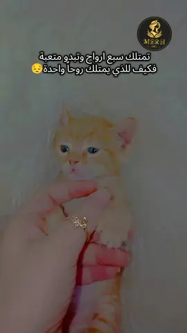 #لتعب ـ بلروح