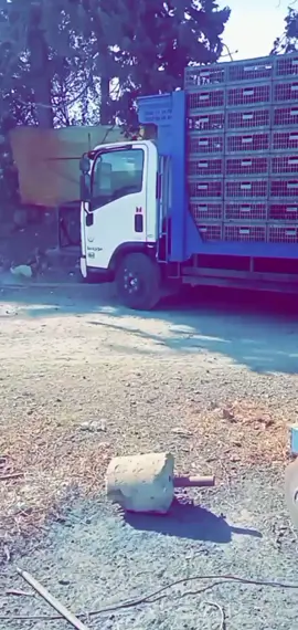 #Tîpø🐔🐔  #الشعب الصيني ماله حل 😂😂