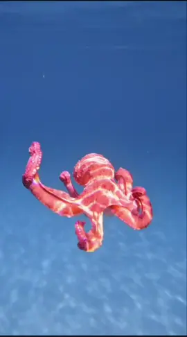 #طرابلس_بنغازي_المرج_البيضاء_درنه_طبرق 