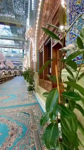 #دعاء #اهل_البيت_عليهم_سلام #اللهم_صل_على_محمد_وآل_محمد #اللهم_عجل_لوليك_الفرج #كربلاء_مدينة_العشق_والعاشقين 