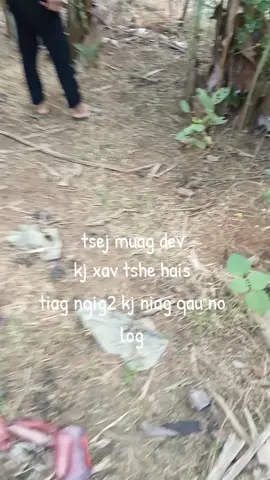 tsej muag kj niag qau yuav lwj kj yuav tss tau tsoob kj tug poj niam lob #xu_huong #titok #2025 