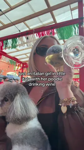 the 21st night of september ❤️ #sangennarofeast #nyc #littleitaly #italian 