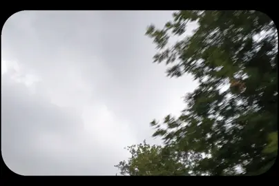 قران كريم يصوت علي جابر #قران #quran 