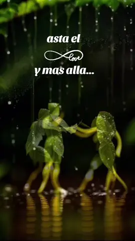 #infinito #ymasalla ❤️#nuestras #locuras #paratiiiii 