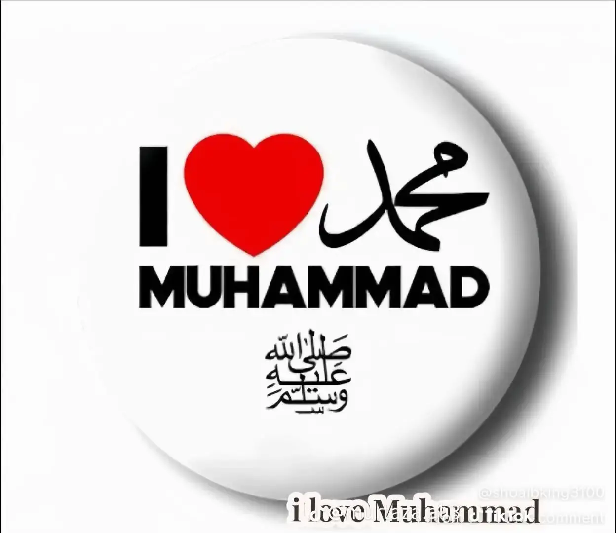 I Love Mohammed 😘🥀 #sadiqmarkhor4043 #burhan_tv #markhor #100k 