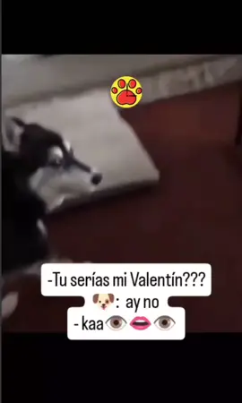 #comedia #humor #paratiiiiiiiiiiiiiiiiiiiiiiiiiiiiiii #paratii 